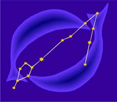 Pisces constellation