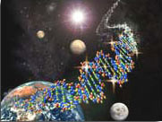 Cosmic dna Cosmic dna