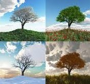 seasons 1 seasons 1